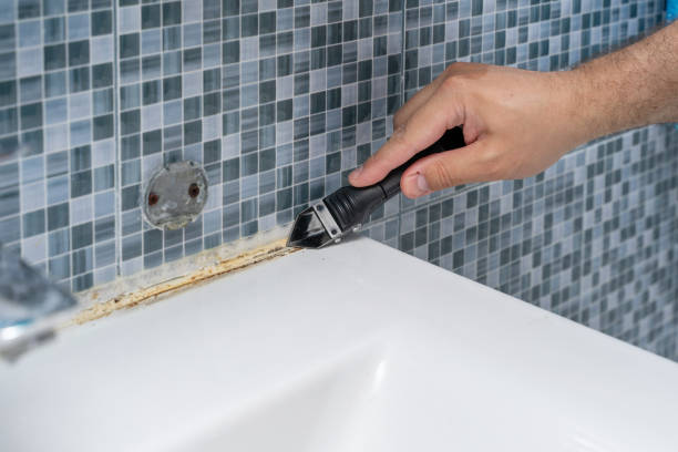 Best Kitchen Mold Remediation in Flanders, NJ